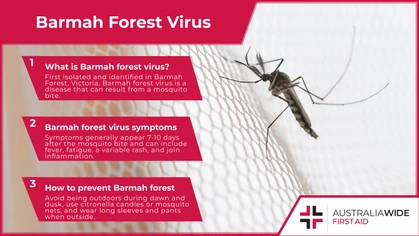 Infographic about Barmah Forest Virus